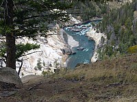 Yellowstone Tower Roosevelt (17).JPG